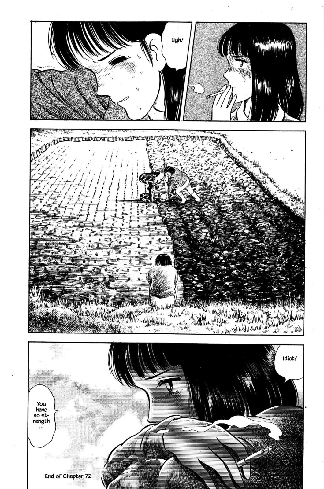 Making a Seed Bed page 21