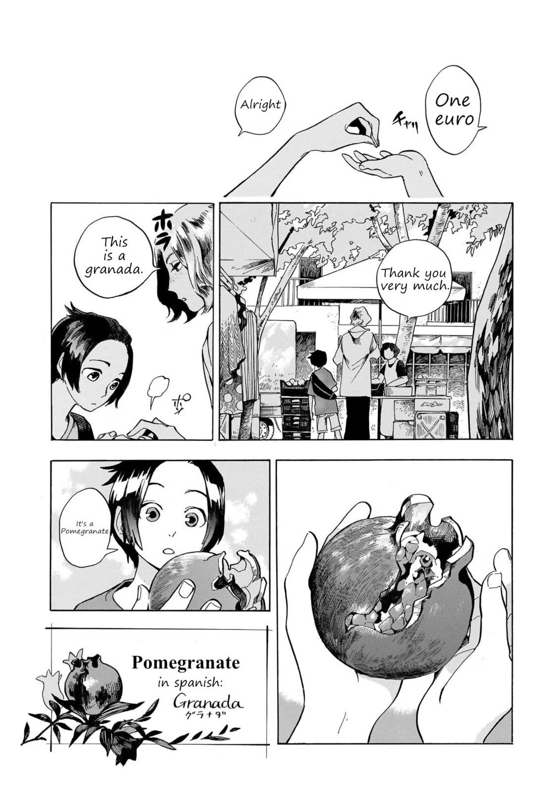 Visiting pomegranates in a foreign country page 6