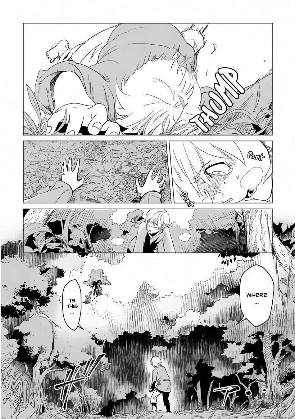 Encounter with the Fluffiness page 11
