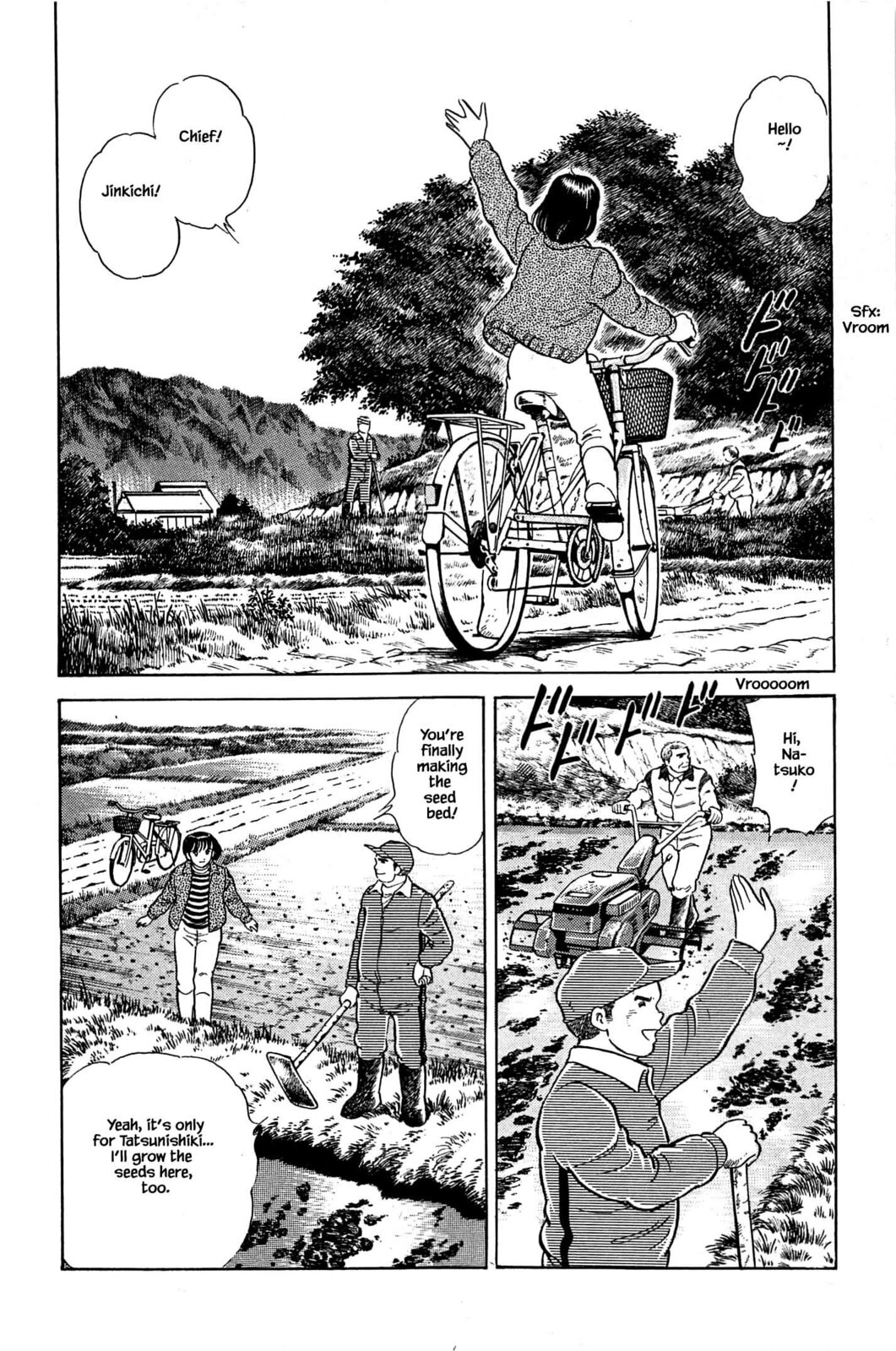 Making a Seed Bed page 3